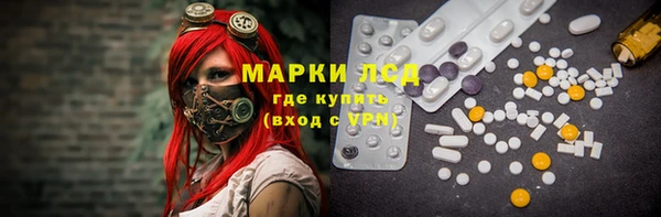 гидра Володарск