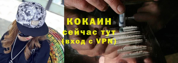 ешки Вяземский