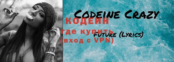 ешки Вяземский