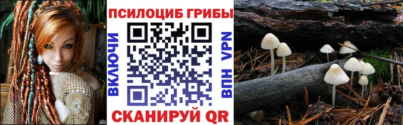 где найти наркотики  Мезень  Галлюциногенные грибы Psilocybine cubensis 